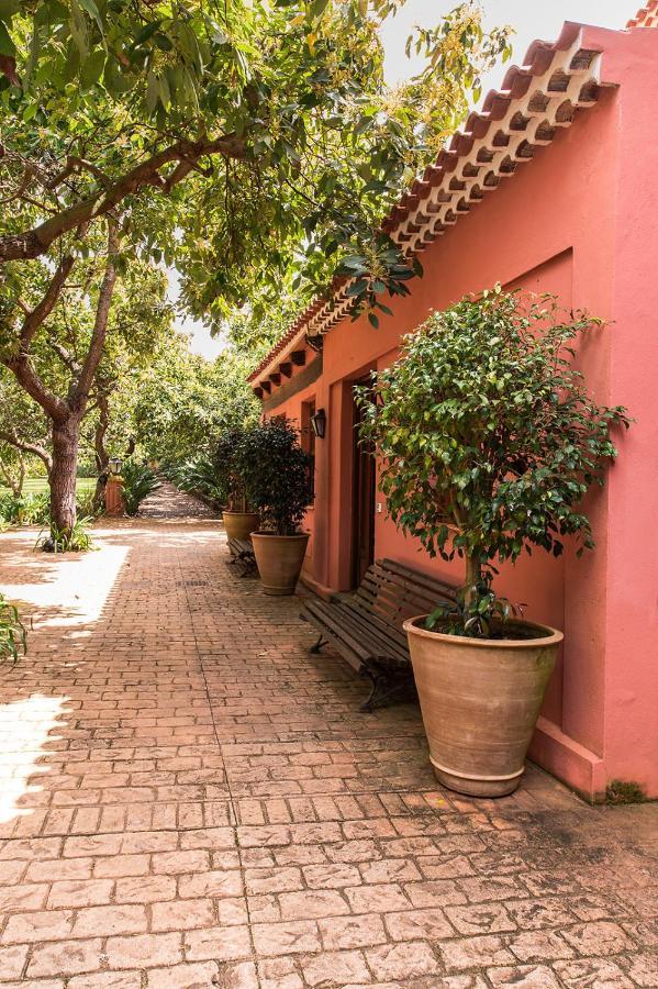 Homeforguest Cosy Rural Flat La Lavanda Surrounded By Nature Tacoronte Exterior photo