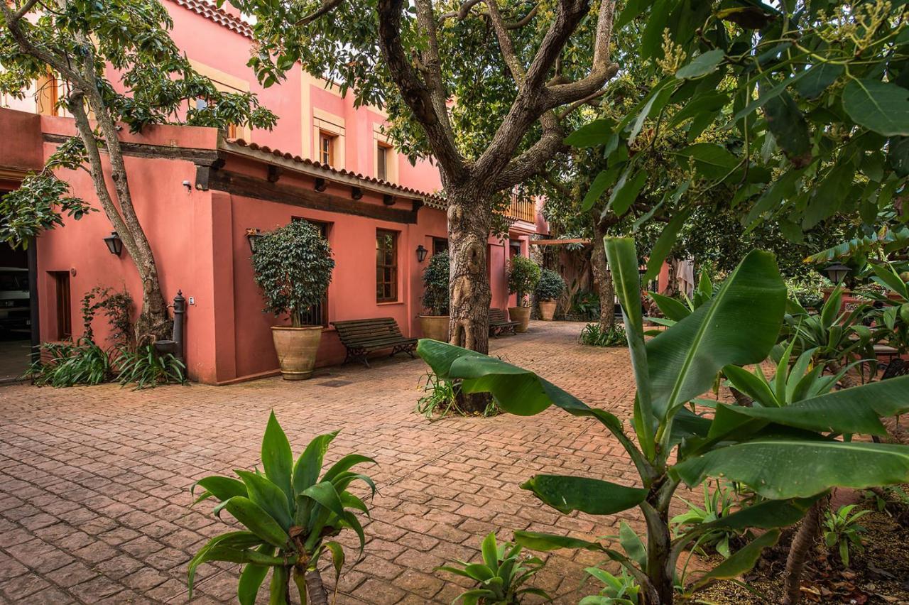 Homeforguest Cosy Rural Flat La Lavanda Surrounded By Nature Tacoronte Exterior photo