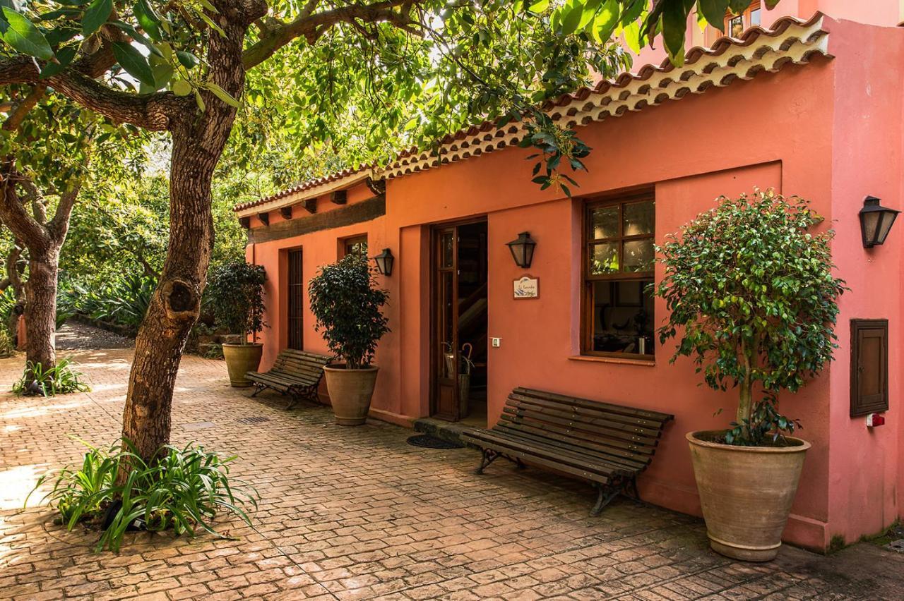 Homeforguest Cosy Rural Flat La Lavanda Surrounded By Nature Tacoronte Exterior photo