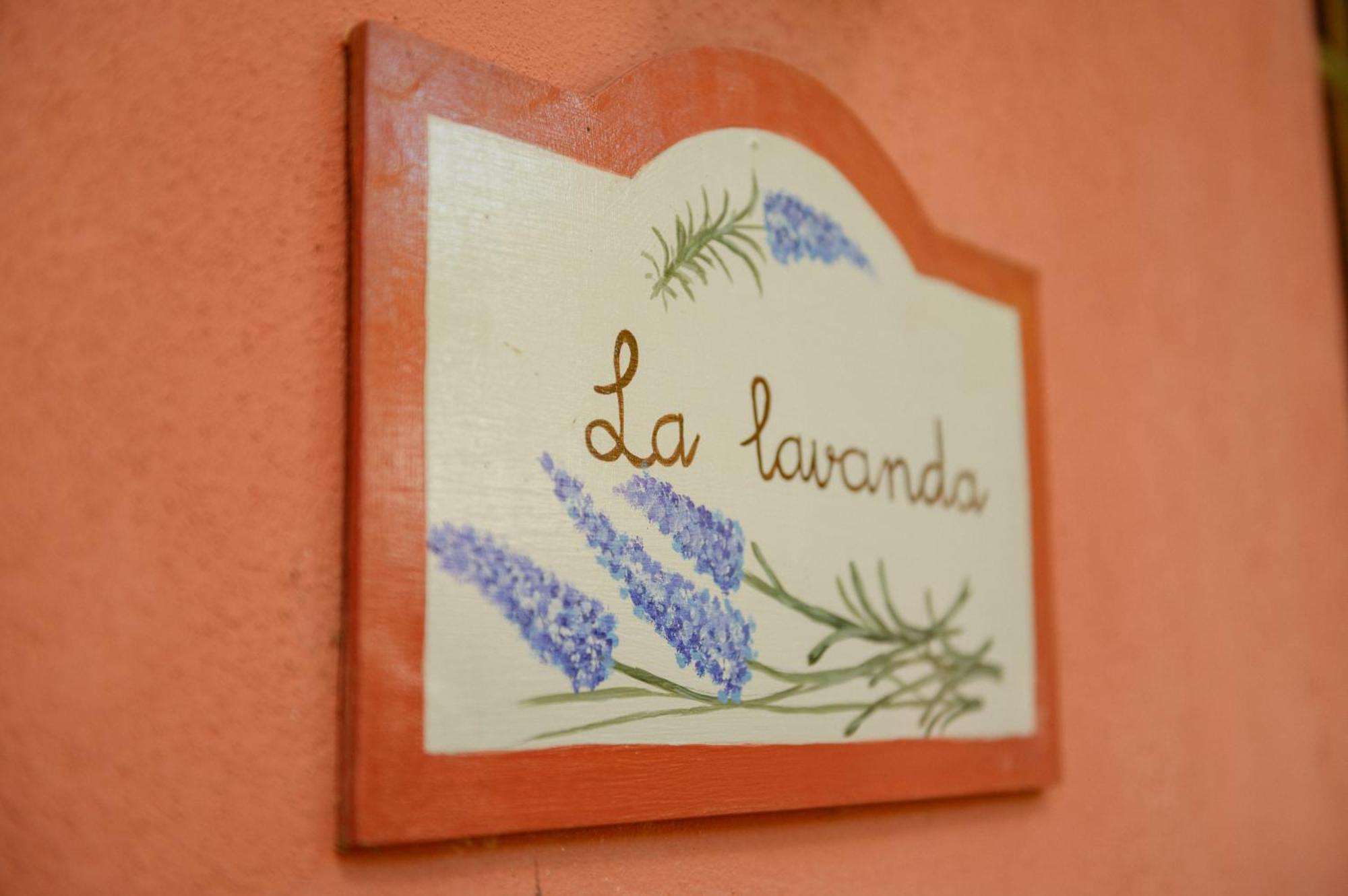Homeforguest Cosy Rural Flat La Lavanda Surrounded By Nature Tacoronte Exterior photo